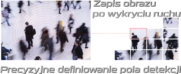 167d13c4dbdc85ea653506967c57013a